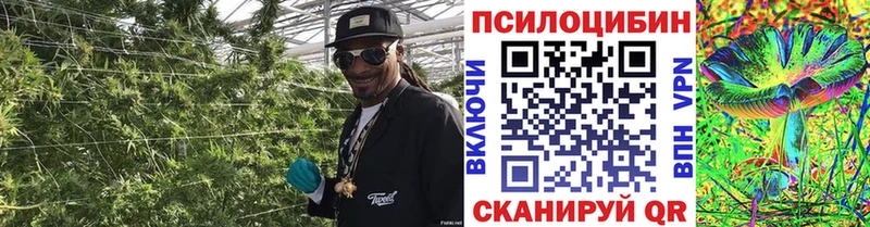Галлюциногенные грибы Psilocybine cubensis  Купить закладки  Мелеуз 